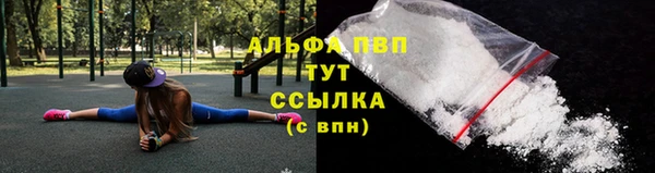 сатива Покровск