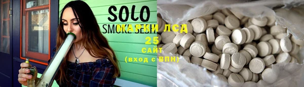 шишки Покачи