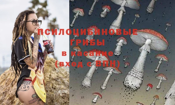 шишки Покачи