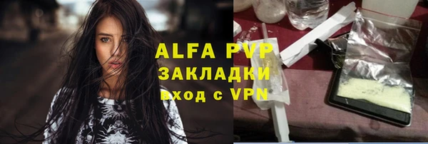 шишки Покачи