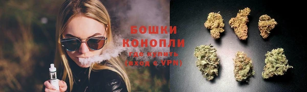 сатива Покровск