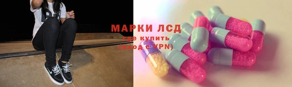 шишки Покачи