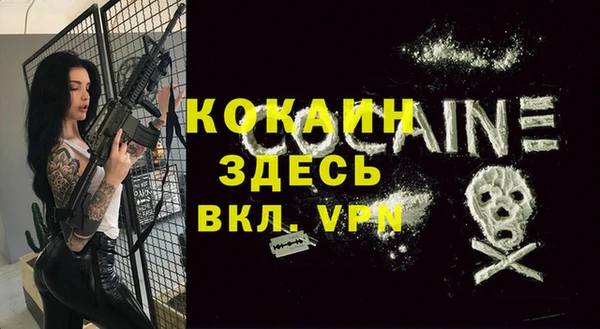 шишки Покачи