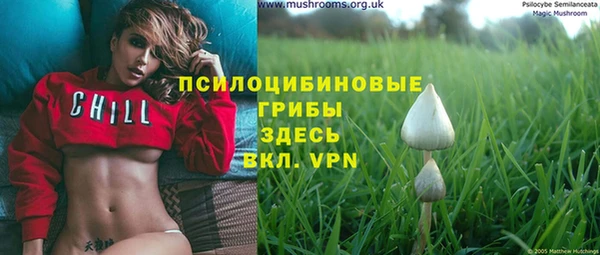 шишки Покачи