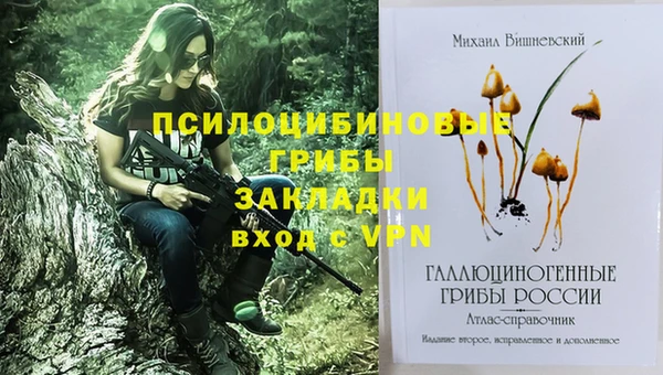 шишки Покачи