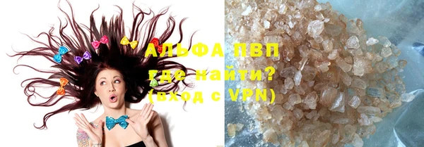 шишки Покачи