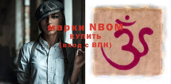 шишки Покачи