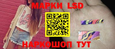 шишки Гай