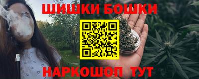 шишки Гай