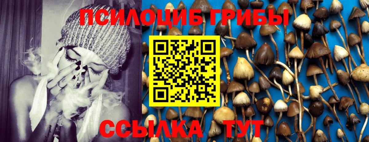 Галлюциногенные грибы прущие грибы Тара