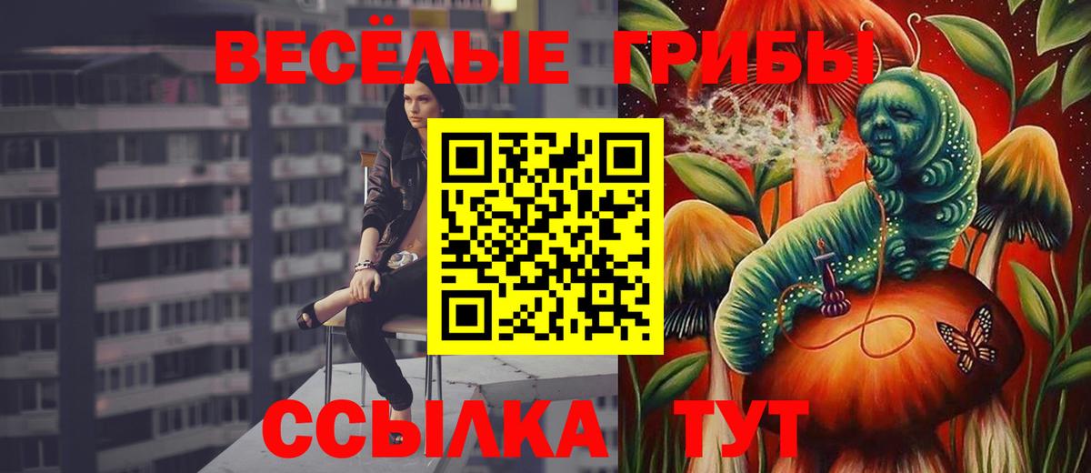 Псилоцибиновые грибы Psilocybe  Вход с VPN  Тара 