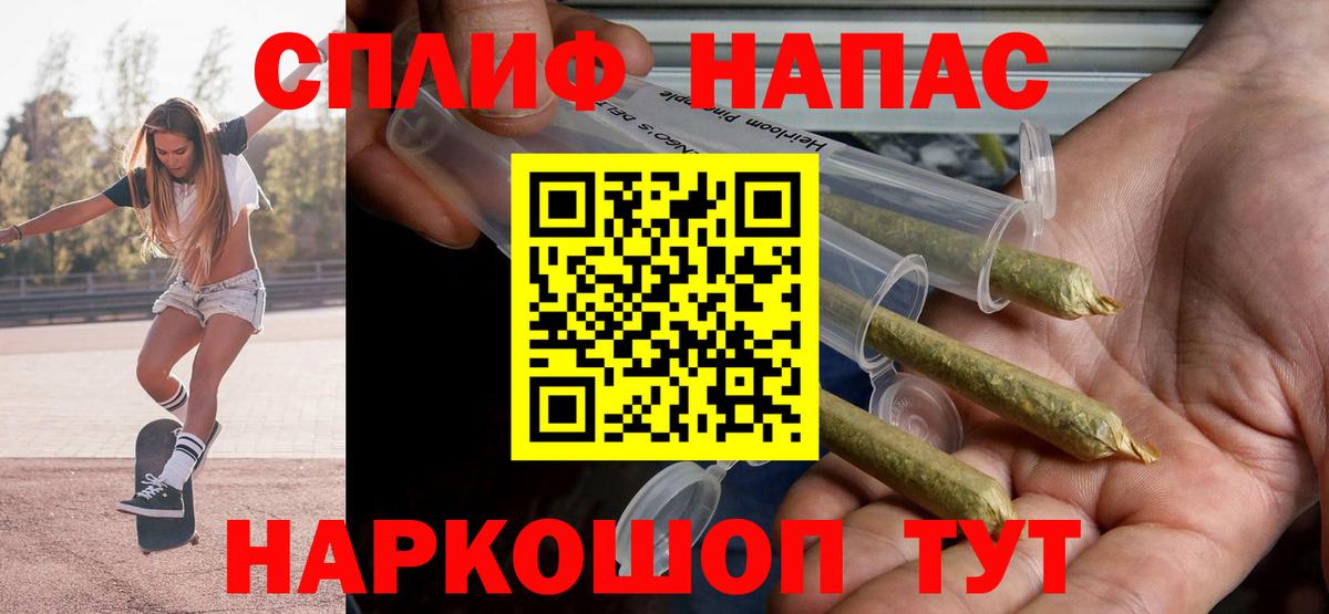 Канабис планчик Тара